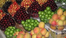 معاون اتحادیه بارفروشان: قیمت گوجه سبز به هشت هزار تومان رسید