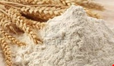رئیس انجمن آردسازان ایران: دولت تصمیمی برای آزادسازی قیمت آرد تا پایان سال ندارد