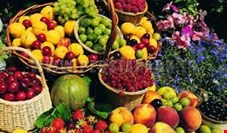 نامه وزارت جهاد کشاورزی به سازمان میادین میوه و تره‌بار شهرداری