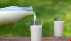 معاون وزارت جهاد کشاورزی: شیر بی هویت در بازار نداریم