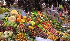 مشوق‌های صادراتی دولت در جهت افزایش واردات است/ توقف صادرات سیب ایران به کویت