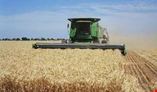 رئیس موسسه برنامه‌ریزی اقتصاد کشاورزی: "نکاشت" یک طرح شکست‌خورده است 