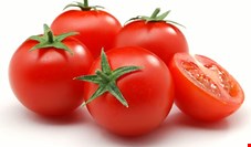 مشکل گوجه فرنگی فقط مختص آبان ماه است و از ابتدای آذر گوجه ارزان می‌شود