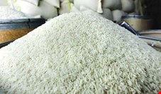 قیمت برنج در تهران به 17 هزار تومان رسید!/ قیمت برنج بیشتر از ۱۴هزار و ۵۰۰ تومان گران فروشی است