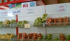 مهاجران: دستور ممنوعیت واردات میوه مشکلی را حل نمی‌کند