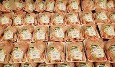 صادرات مرغ ایرانی به عمان عملیاتی شد