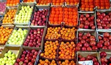قائم مقام سازمان  تعاون روستایی: 40  هزار تن میوه تاکنون در سراسر کشور توزیع شد