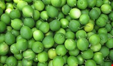 قیمت لیمو ترش به 14 هزار تومان رسید/ افزایش ۱۰۰ درصدی قیمت لیموترش