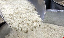 برنج باز هم گران شد!/ برنج درجه یک ایرانی را با کمتر از 13500 تومان نمی‌توان خرید/ قدرت خرید مردم برای برنج کاهش پیدا کرده