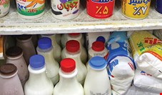 معاون سازمان حمایت: شیر، ماست و پنیر 6 درصد گران می‌شوند
