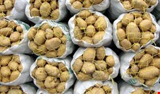 آبروداری سیب‌زمینی برای دولت روحانی با گرانی ۱۴۹ درصدی