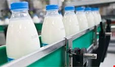 صنعت لبنیات حق دامدار را نپردازد، تولید شیرخام متوقف می‌شود!