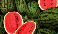 رئیس اتحادیه میوه و سبزی: هیچ فروشنده‌ای حق ندارد هندوانه را بالاتر از 1100 تومان بفروشد