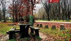 مدیریت سهام‌ عدالت بر پارک جنگلی مازندران پایان یافت/برگزاری مزایده واگذاری بزودی