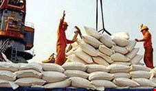 زد و بند یک شرکت واردکننده برنج برای واردات غیرقانونی + جزئیات 