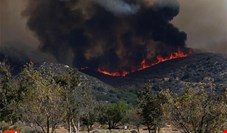 آتش سوزی جنگل ها درکشور 20 درصد افزایش یافت
