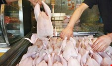 نرخ مرغ گرم در روزهای تاسوعا و عاشورا/ قیمت مرغ درشت به 7000 تومان رسید