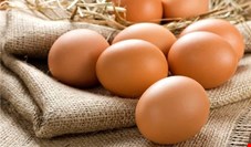  انواع تخم مرغ در بازار چقدر تمام می شود؟