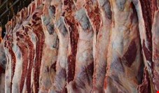 گوشت گران است، مردم نمی‌خرند/گرانی دلار قیمت گوشت برزیلی را بالا برد