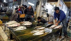 قیمت ماهی وارداتی ازآسیای جنوب شرقی پایین است/ نرخ ماهی در مقایسه با دیگر محصولات پروتئینی بالا نیست