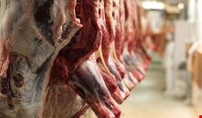 قیمت گوشت گوسفندی بیش از 40 هزاریال افت کرد