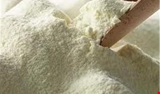 کرونا صادرات شیر خشک را آزاد کرد