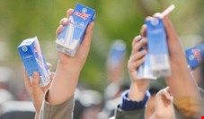 توزیع شیر رایگان در مدارس ۹ استان از ابتدای آذر 