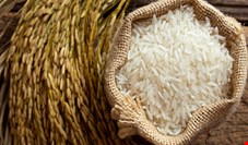  برنج پاکستانی، صدرنشین افزایش قیمت در اردیبهشت