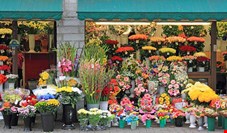 افزایش ۶۰ تا ۱۰۰ درصدی قیمت انواع گل 