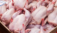  افزایش قیمت سایر مواد پروتئینی تقاضا را برای مرغ افزایش داده است