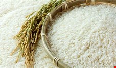 قیمت برنج در دولت دوازدهم چقدر گران شد؟