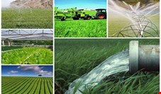 چرا وزارت جهاد کشاورزی روی کاشت برنج در وسط بیابان‌ها نظارتی نمی‌کند؟