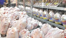  قیمت مصوب مرغ ۱۵ هزار تومان تعیین شد 