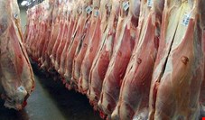 کاهش ۶ تا ۷ هزار تومانی قیمت گوشت گوسفندی در روزهای اخیر