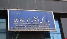  کاهش ۸۸ درصدی تعداد اتباع دارای مجوز کار در ایران 