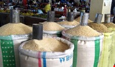 قیمت برنج خارجی در دوره‌ای که ارز ۴۲۰۰ تومانی گرفته، ۶۵ درصد افزایش یافته است
