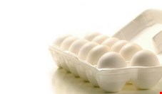 قیمت تخم مرغ در سال ۹۹، سه بار افزایش پیدا کرده است