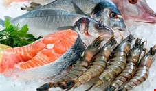  کاهش ۳۰ درصدی مصرف ماهی و میگو در دولت روحانی