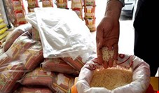 گرانی برنج خارجی، دلیل افزایش قیمت برنج ایرانی است