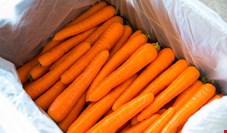 کمبود هویج با وجود کاهش ۳۰ درصدی صادرات