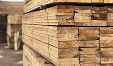  پرسال بزرگترین تامین کننده چوب ترموود