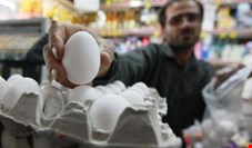 صادرات و تنظیم بازار تخم‌مرغ به بخش خصوصی واگذار شد