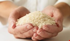واردات برنج در 5 ماه اول امسال 100 درصد رشد کرد!/ برنج خارجی 16 درصد گران شد