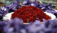 صادرات چمدانی زعفران از کشور