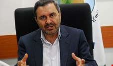 معاون وزیر جهاد: جنگل‌های آسیب دیده حوزه زاگرس با اجرای برنامه‌ای پنج ساله احیا می‌شود 