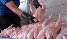 مدیرعامل اتحادیه سراسری مرغداران گوشتی: مازاد تولید گوشت مرغ ماهانه 15 هزار تن است